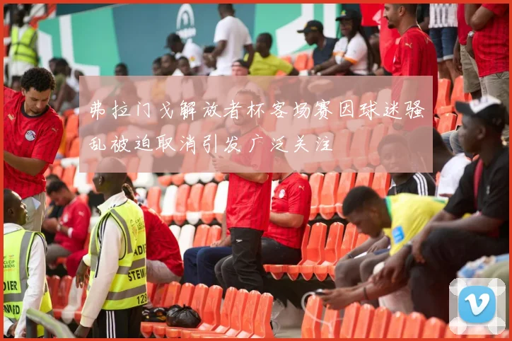 弗拉门戈解放者杯客场赛因球迷骚乱被迫取消引发广泛关注