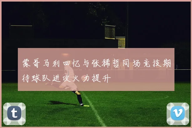 蒙哥马利回忆与张稀哲同场竞技期待球队进攻火力提升