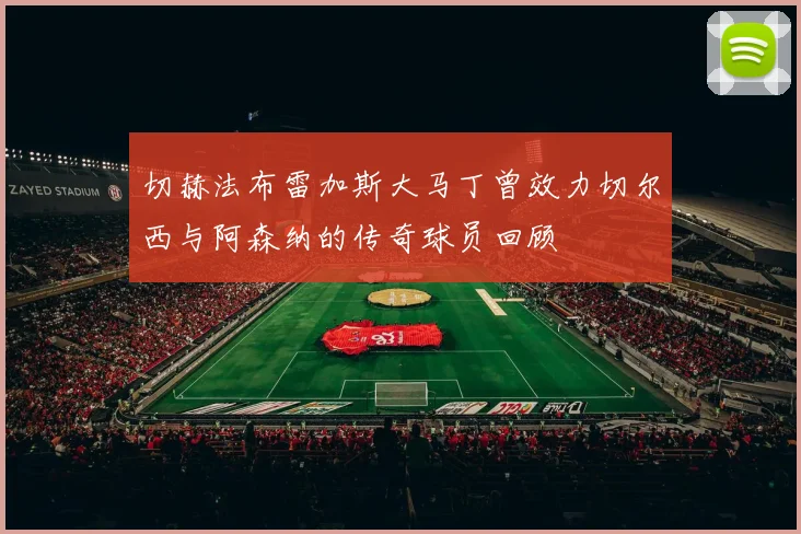 切赫法布雷加斯大马丁曾效力切尔西与阿森纳的传奇球员回顾