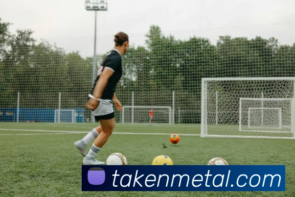 App 示例图